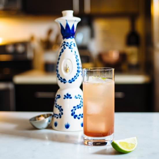 Nopalito's El Diablo Cocktail - Recipe photo by thetasteSF