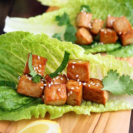 Teriyaki Marinated Tofu - Recipe photo by revisfoodography