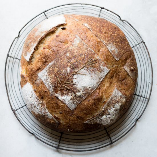 Roasted Potato and Rosemary Bread - Recipe photo by the perfect loaf
