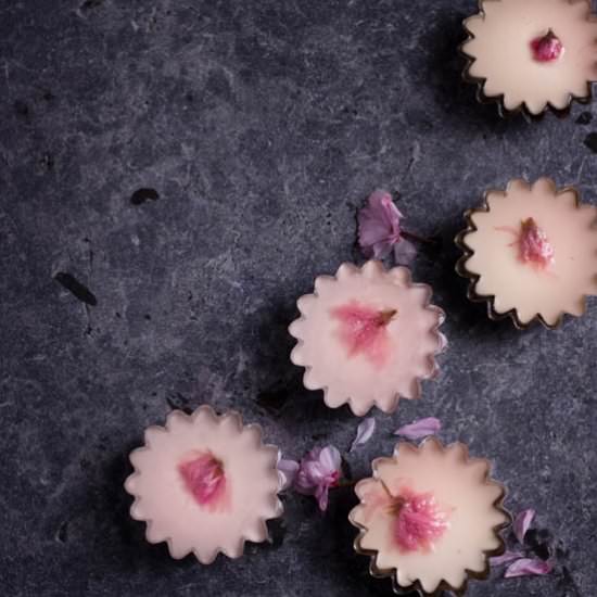 Sakura and Strawberry Panna Cotta - Recipe photo by figsandpigs