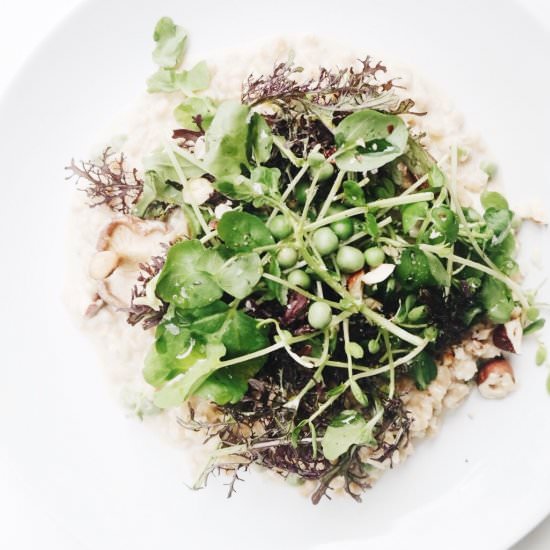 Pearl Barley Risotto - Recipe photo by littlethingsbyjulia