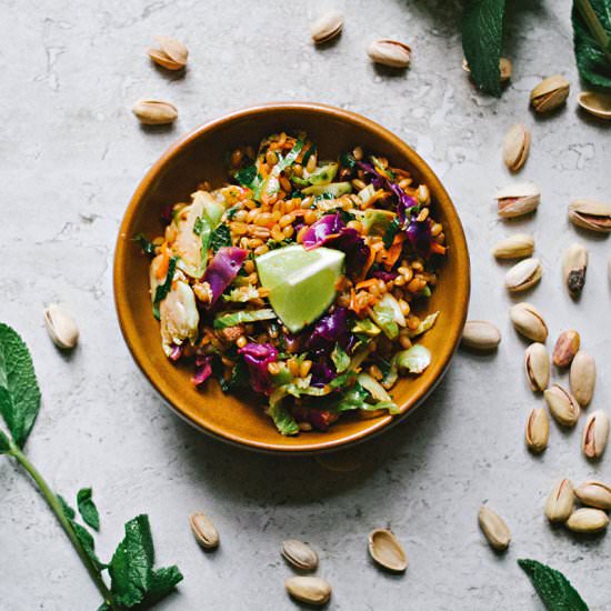 Minty Spelt Berry Salad - Recipe photo by spice and sprout