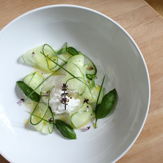 Cucumber Herb Salad - Recipe photo by epicurestable