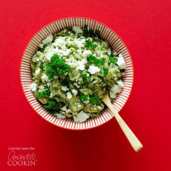 Orzo Salad with Chimichurri Sauce - Recipe photo by amandascookin
