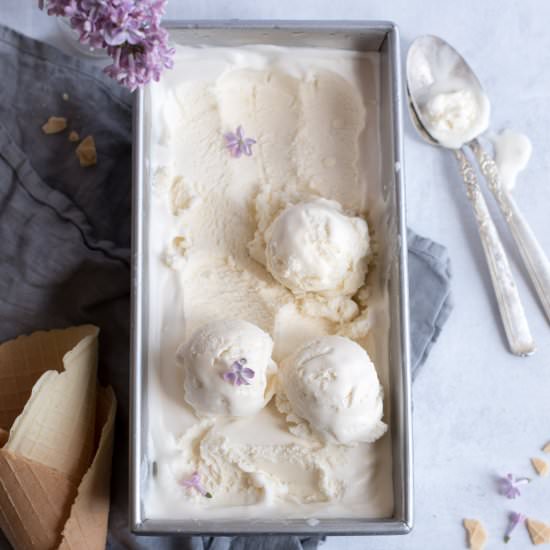 HOMEMADE PLOMBIR ICE CREAM - Recipe photo by Gastro Senses