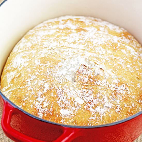 Dutch Oven White Crusty Bread - Recipe photo by valyastasteofhome.com