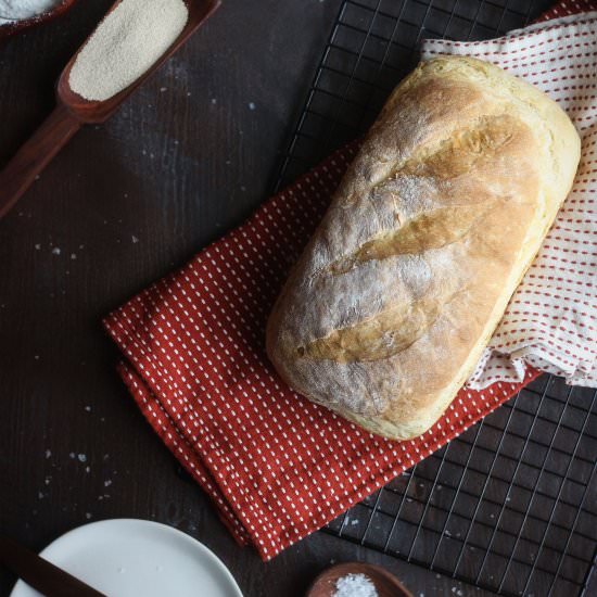 Quick and Easy Loaf of Bread - Recipe photo by aFeastofStarlight