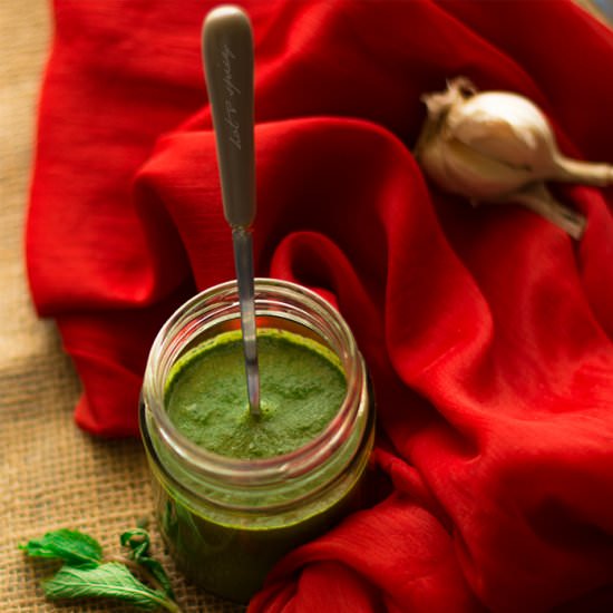Hot Coriander Mint Chutney - Recipe photo by yummydiaries