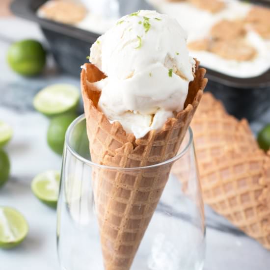 No Churn Key Lime Pie Ice Cream - Recipe photo by cakenknife