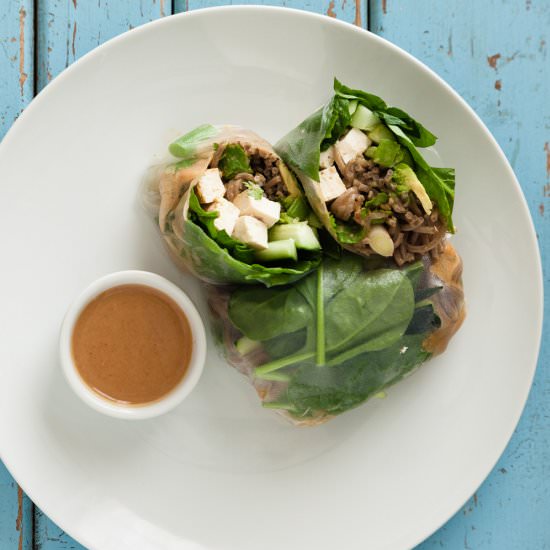 Fresh Summer Rolls (Vegan) - Recipe photo by vegan video pantry