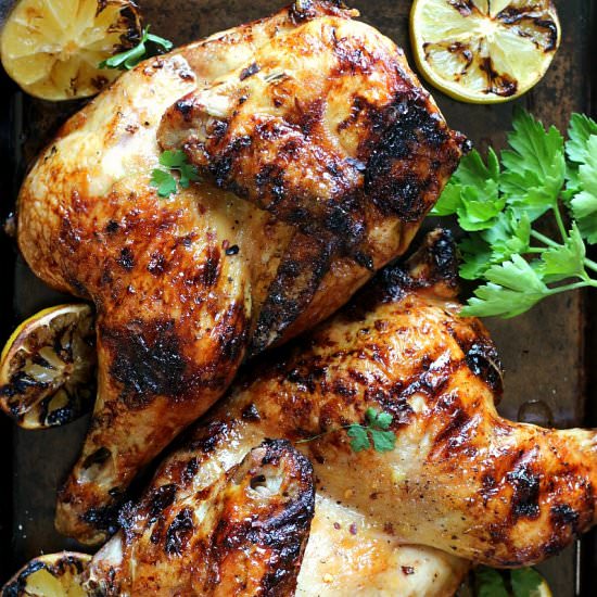 Honey Ginger Grilled Split Chicken - Recipe photo by Garden in the kitchen