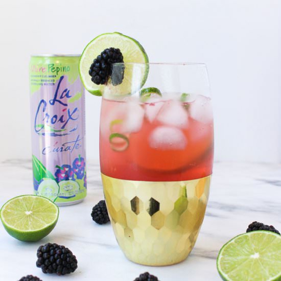 Blackberry Lime Fizz - Recipe photo by ChefJulie_RD