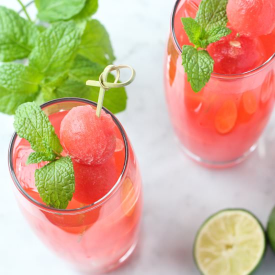 Watermelon Mint Vodka Gimlet - Recipe photo by Lydi Out Loud
