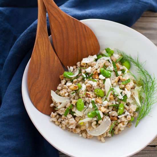 Spring Grain Salad With Fava - Recipe photo by karalydonRD