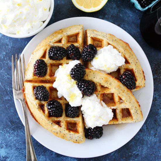 Lemon Poppy Seed Waffles - Recipe photo by twopeasandtheirpod