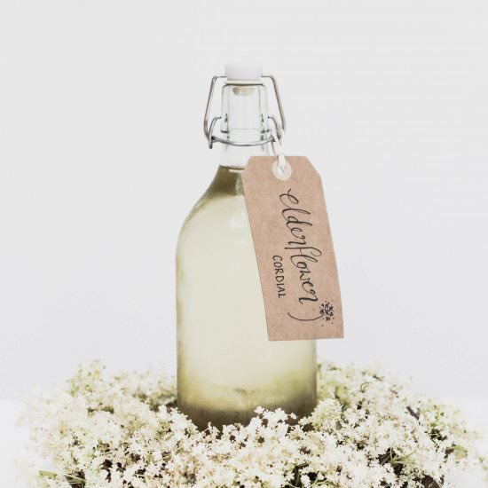 Elderflower Cordial - Recipe photo by gatheredthreads
