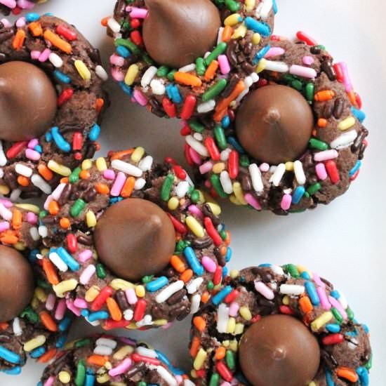 Double Chocolate Sprinkle Blossoms - Recipe photo by TheSpiffyCookie