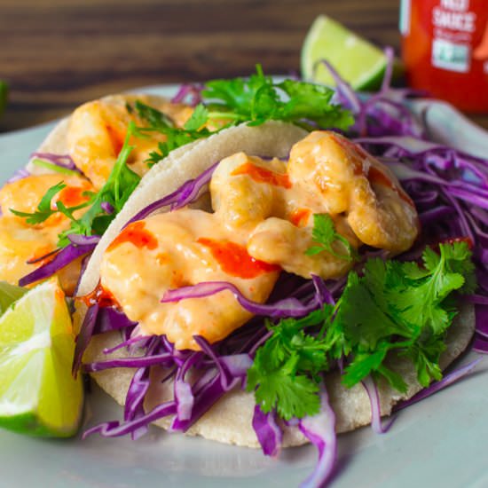 Paleo Bang Bang Shrimp Tacos - Recipe photo by nurturemygut