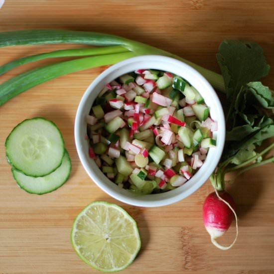 Radish Salsa - Recipe photo by Inspired by the Seasons
