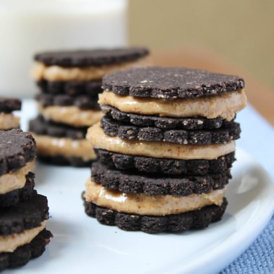 Chocolate Almond Butter Cookies - Recipe photo by whatstheovenonfor