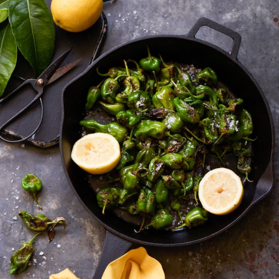 Blistered Padrón Peppers - Recipe photo by gdalkin