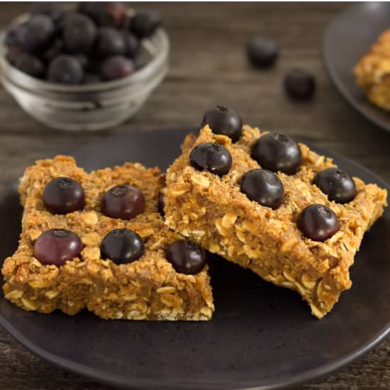 Homemade Blueberry Protein Bars - Recipe photo by onecleverchef