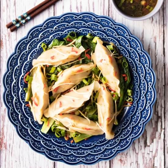 Beef and Leek Dumplings - Recipe photo by healthygfasian
