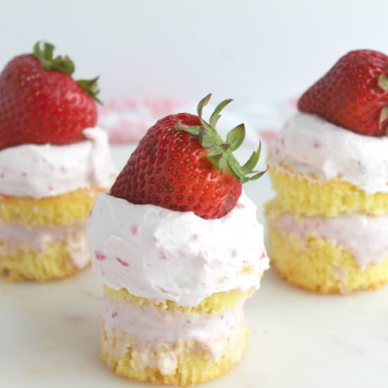 Mini Ice Cream Cupcakes - Recipe photo by jennyrawn