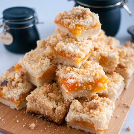 Apricot Crumble Bars - Recipe photo by VeenaAzmanov