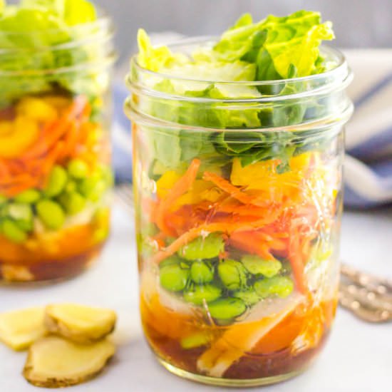 Asian Chicken Mason Jar Salad - Recipe photo by Family Food on the Table