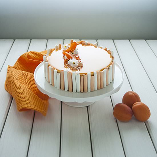 Sweet Apricot - Recipe photo by cookingmesoftly