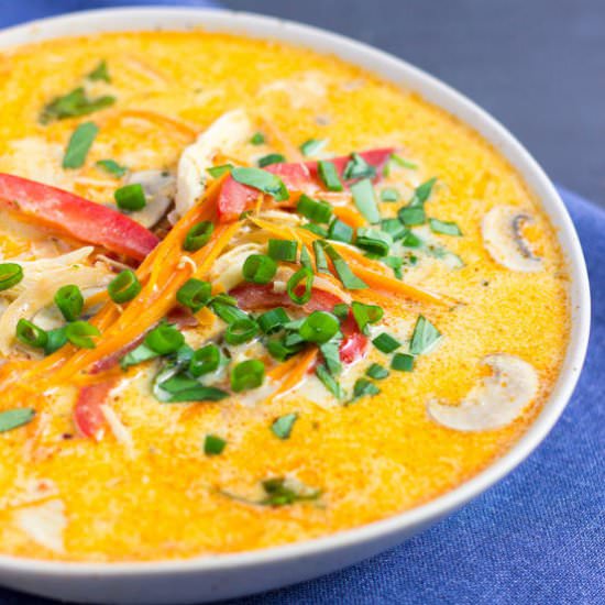 Coconut Curry Chicken Soup - Recipe photo by onecleverchef