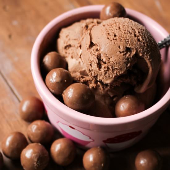 Malted Chocolate Ice Cream - Recipe photo by suziethefoodie