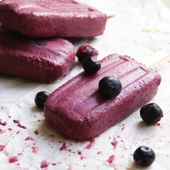 Fruit Froyo Smart Popsicles - Recipe photo by Fusion Craftiness