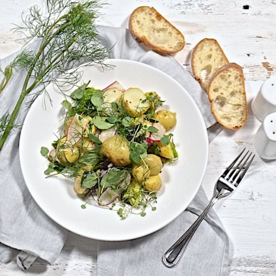 Potato and Vegetables Salad - Recipe photo by oliveoilandlemons