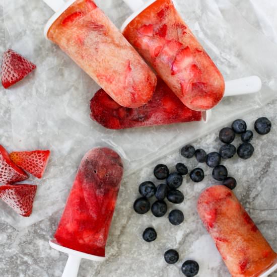 Kombucha Popsicles - Recipe photo by champagne-tastes