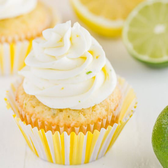 Lemon Lime Cupcakes - Recipe photo by IntrovertBaker