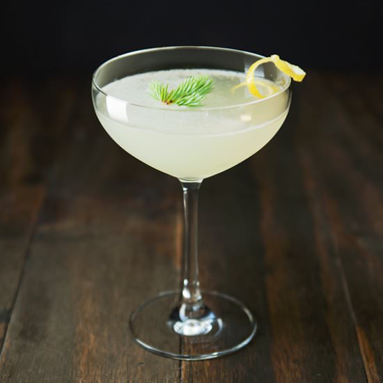 Spruce Tip Syrup and The Muir - Recipe photo by kaweah