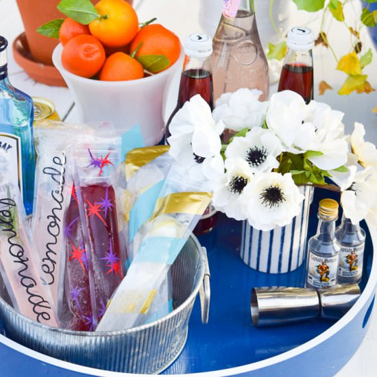 DIY Cocktail Freezies - Recipe photo by pmqfortwo