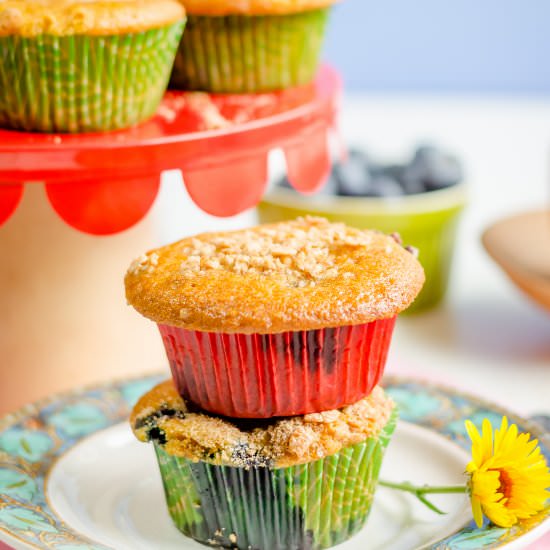 Eggless Blueberry Cinnamon Muffins - Recipe photo by Herbivore Cucina