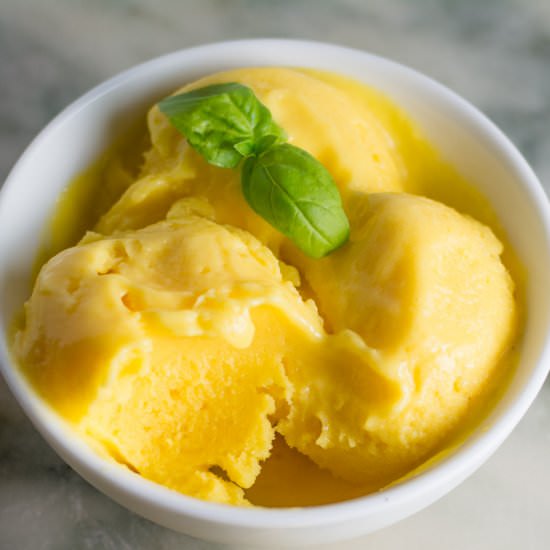 Homemade Mango Frozen Yogurt - Recipe photo by dessertsbyjuliette