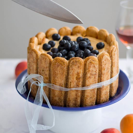Apricot Tiramisu with Blueberries - Recipe photo by daniscookings