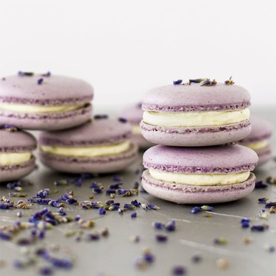 Lavender macarons - Recipe photo by pizzarossa