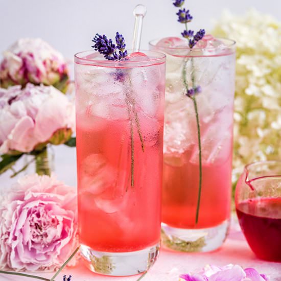 Blackberry Lavender Gin and Tonic - Recipe photo by supergoldenbakes