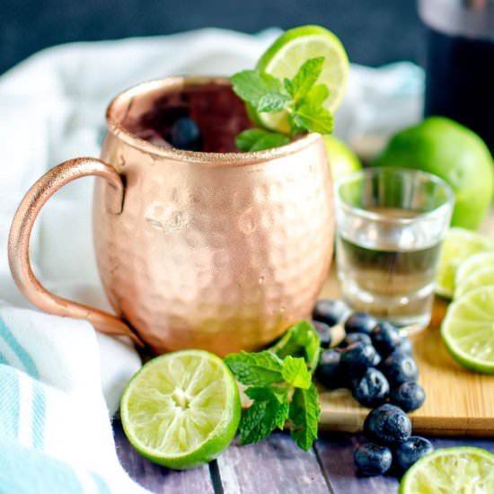 Blueberry Moscow Mule - Recipe photo by unOriginalMom