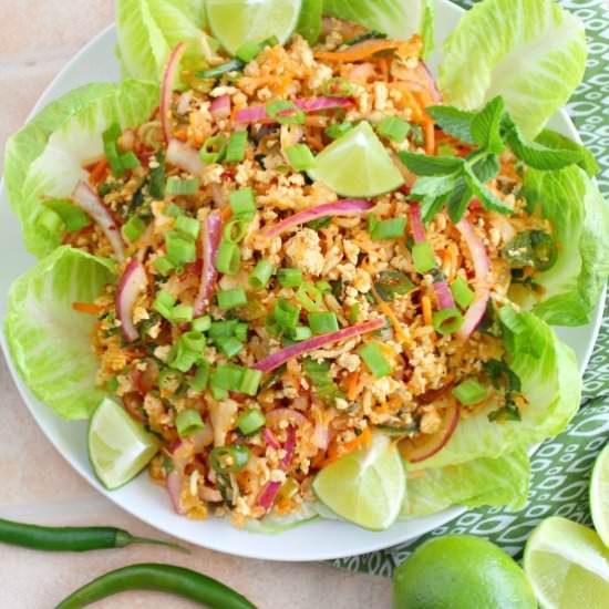 Thai Larb Gai - Recipe photo by Kitchen Simmer