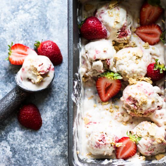 Strawberry Rhubarb "Nice Cream" - Recipe photo by My Diary of Us