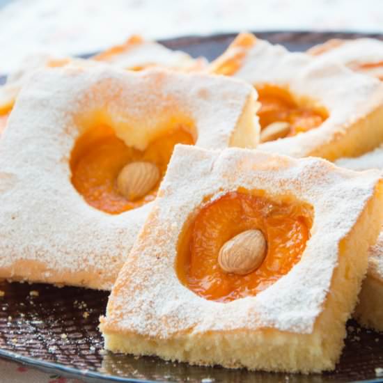 Fluffy Apricot Bars - Recipe photo by ItalianRecipeBook