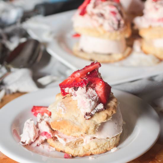 Strawberry Ice Cream Shortcakes - Recipe photo by DomesticBatchAsh