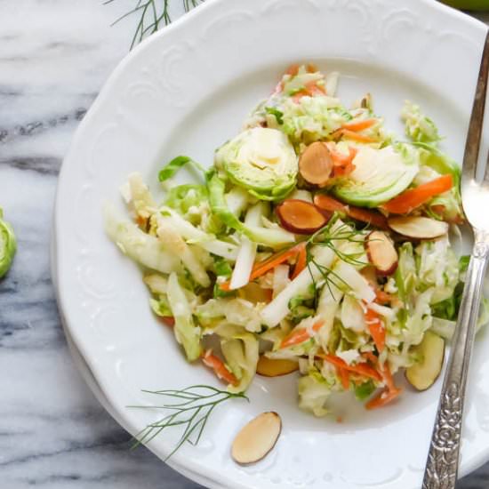 Brussel Fennel Apple Slaw - Recipe photo by garlic and zest